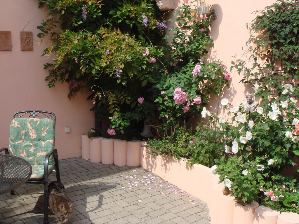 Haus Am Markt Königstein in der Oberpfalz 외부 사진