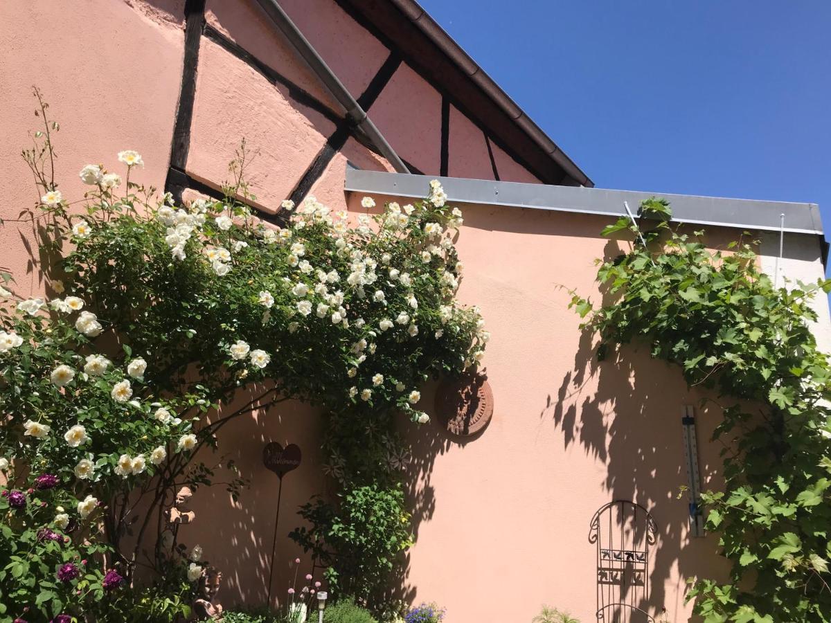 Haus Am Markt Königstein in der Oberpfalz 외부 사진
